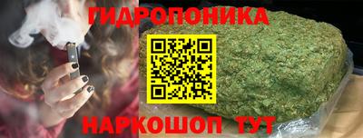 соль ск Брянск