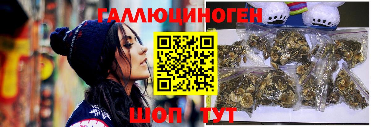 Галлюциногенные грибы MAGIC MUSHROOMS  продажа наркотиков  Вход с VPN  Верхняя Салда  Псилоцибиновые грибы GOLDEN TEACHER 